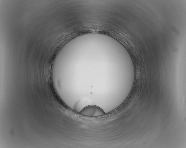 X0000113550030200909181009