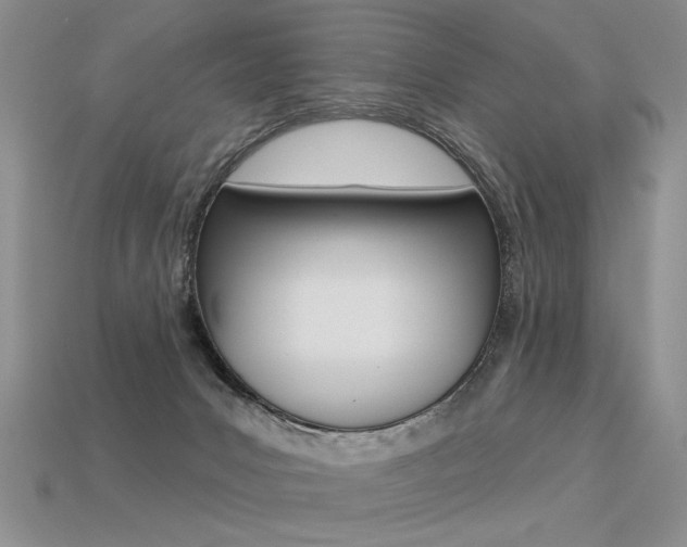 X0000113550031200909181009