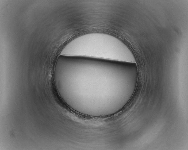 X0000113550032200909181008