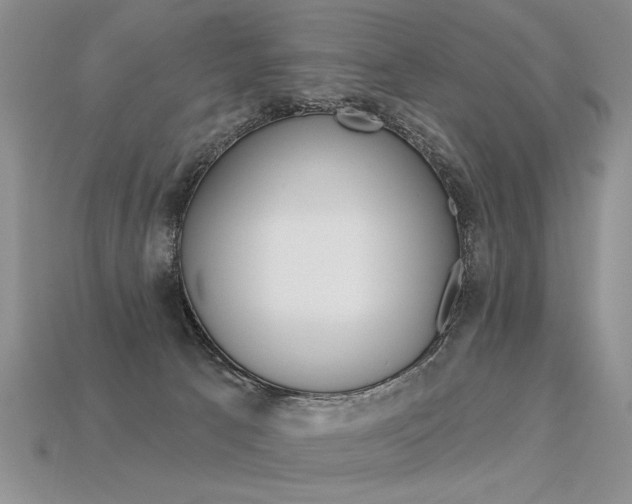 X0000113550033200909181008