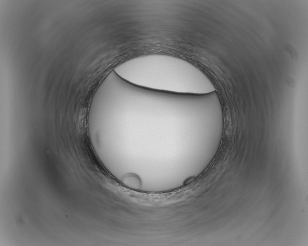 X0000113550034200909181008