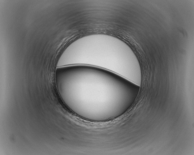 X0000113550035200909181008