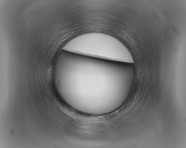 X0000113550036200909181008