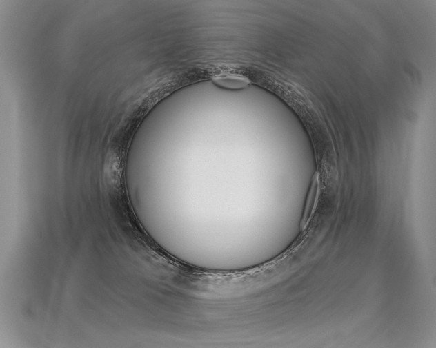 X0000113550037200909181008