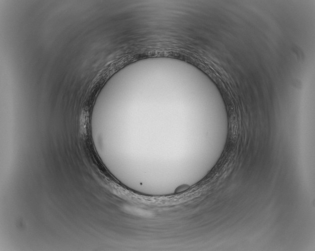 X0000113550038200909181008