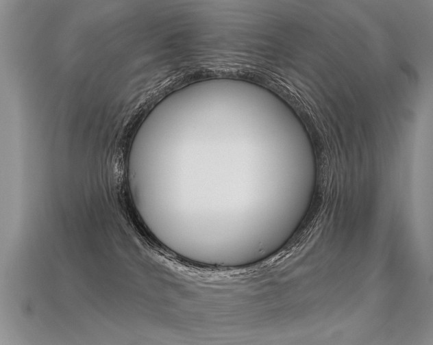 X0000113550040200909181008