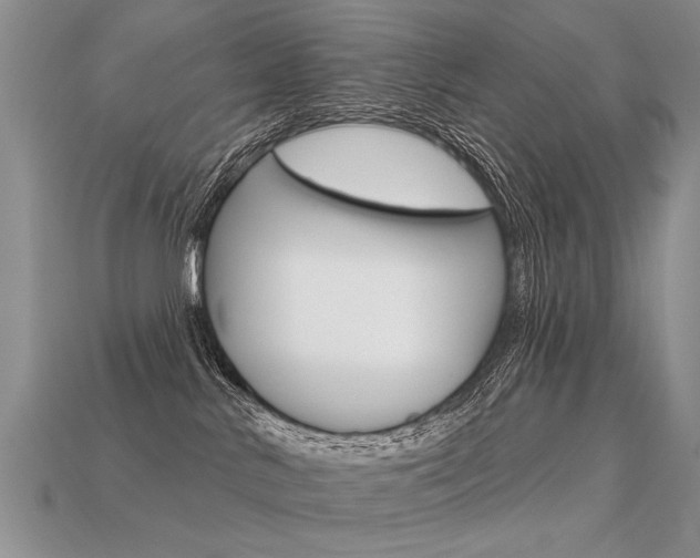 X0000113550042200909181008