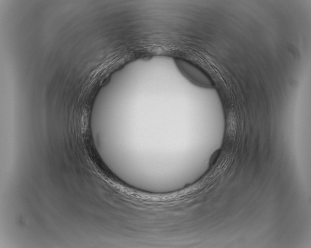 X0000113550043200909181008