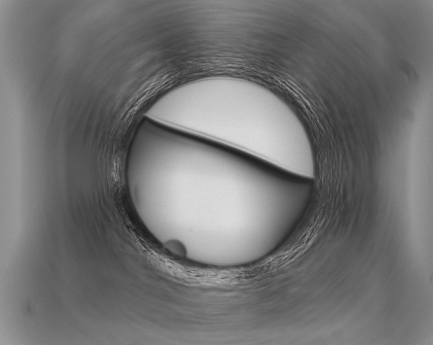 X0000113550044200909181008