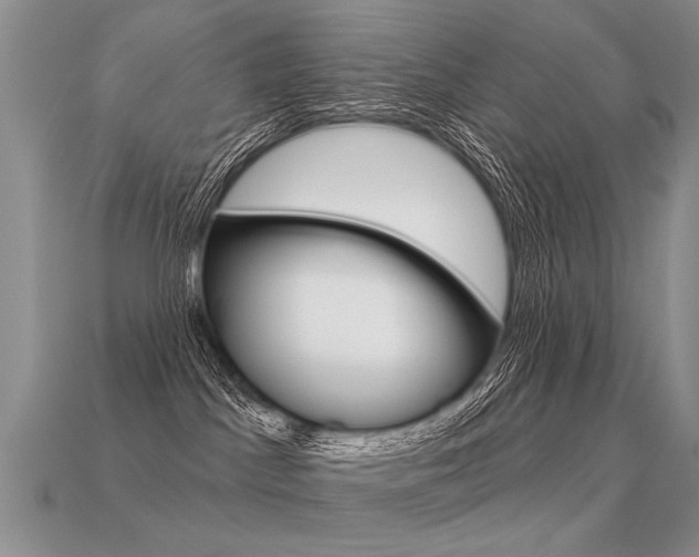 X0000113550045200909181008
