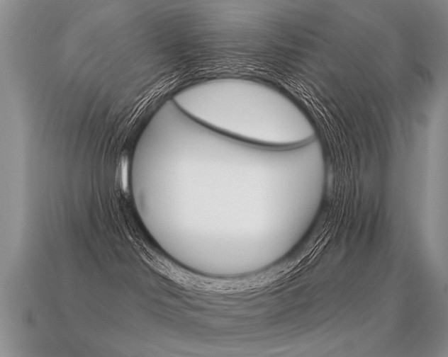 X0000113550046200909181008