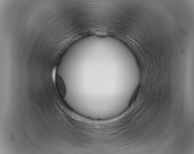 X0000113550047200909181008