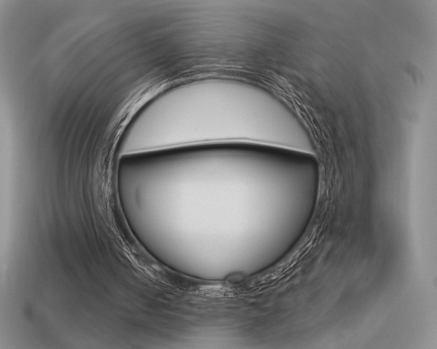 X0000113550050200909181008