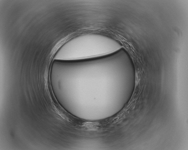 X0000113550051200909181008