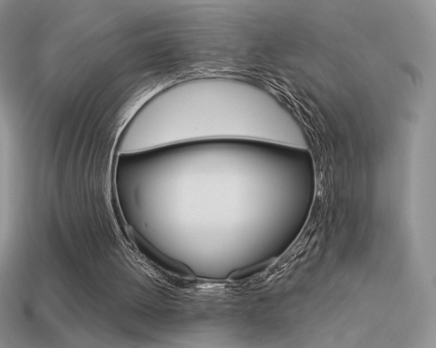 X0000113550052200909181008