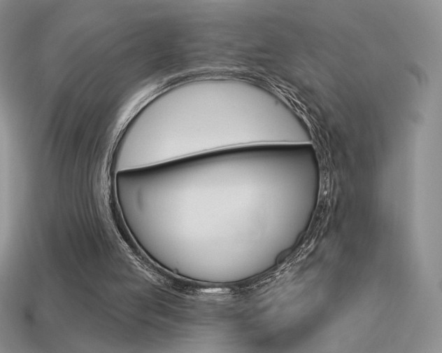 X0000113550053200909181008