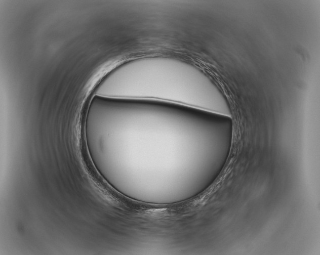 X0000113550054200909181008