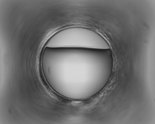 X0000113550055200909181008