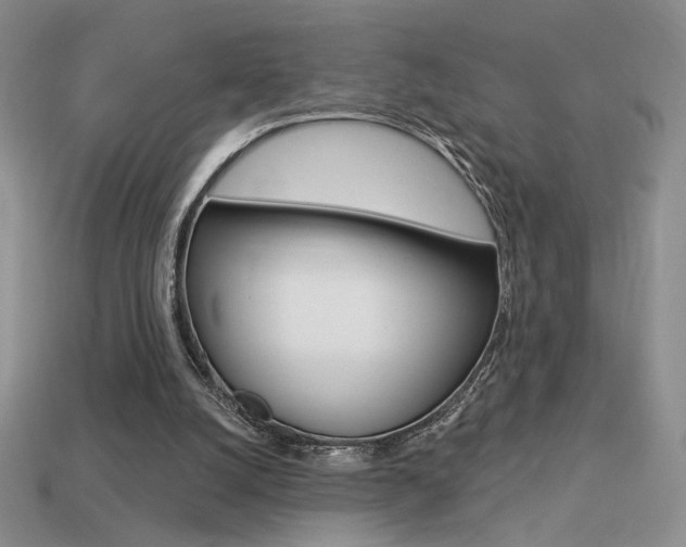 X0000113550056200909181008