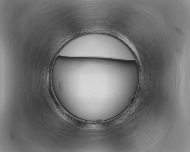 X0000113550057200909181008