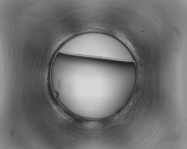 X0000113550058200909181008
