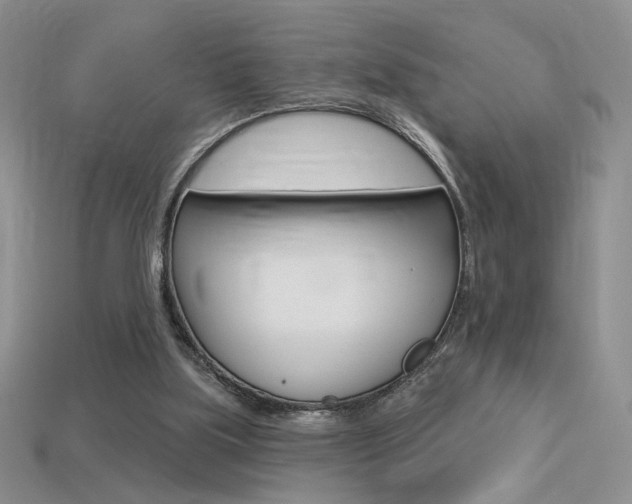 X0000113550059200909181008