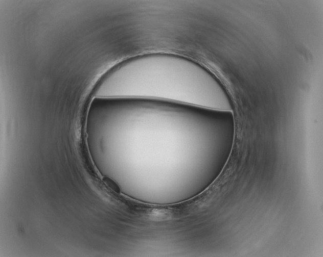 X0000113550060200909181008
