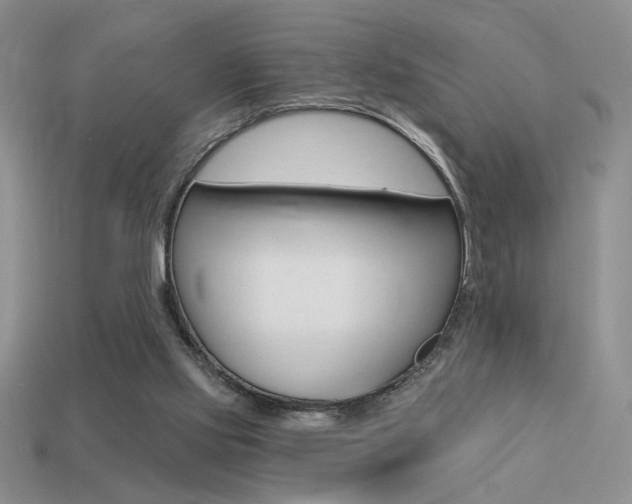 X0000113550061200909181008