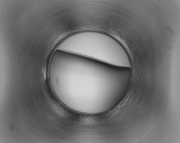 X0000113550062200909181008