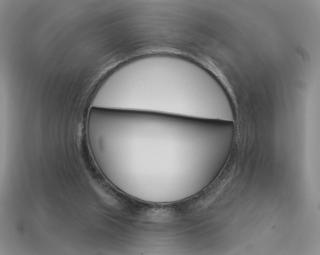 X0000113550063200909181008