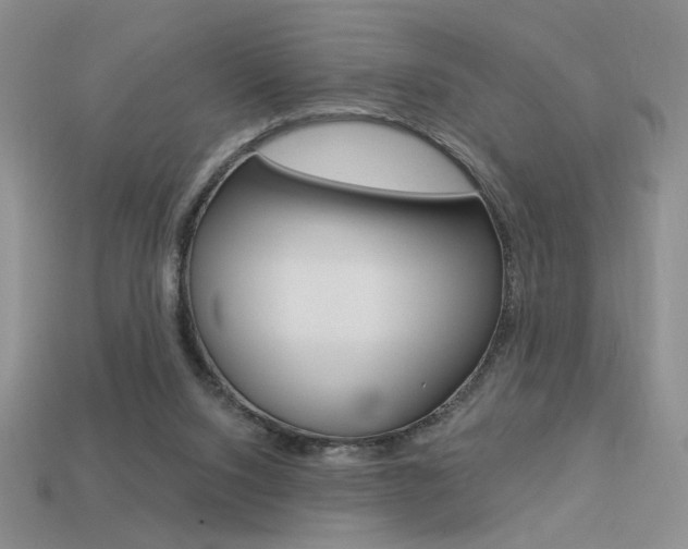X0000113550064200909181008