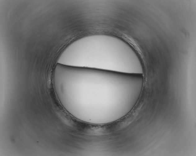 X0000113550065200909181008