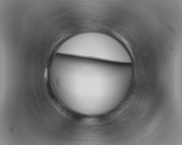 X0000113550067200909181008