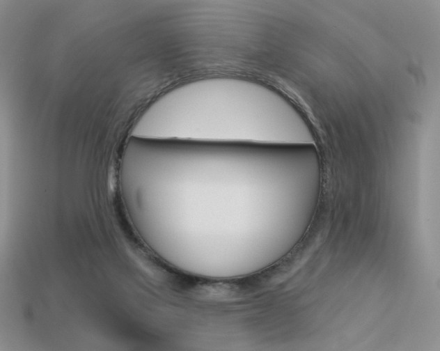 X0000113550069200909181008
