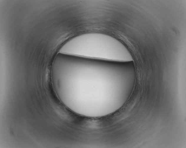 X0000113550071200909181008