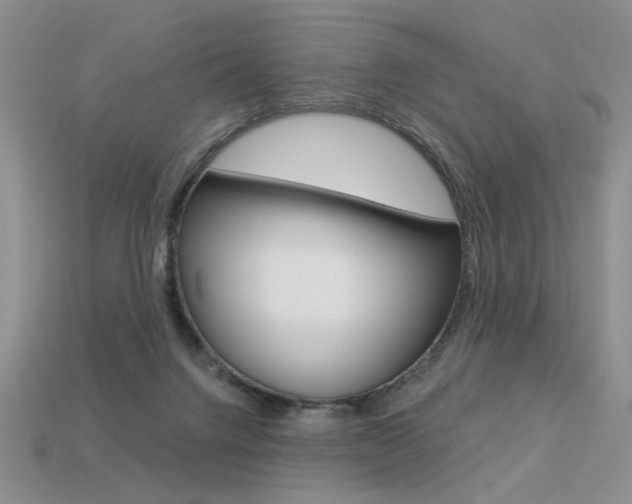 X0000113550072200909181008