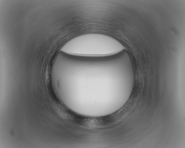 X0000113550074200909181008