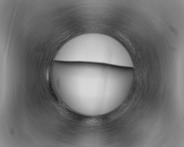 X0000113550075200909181008