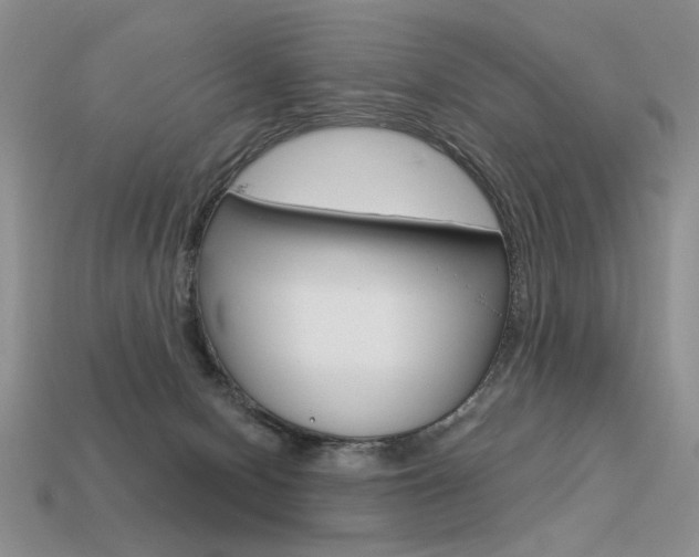 X0000113550078200909181008