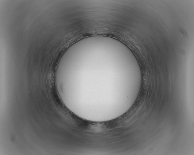 X0000113550079200909181008