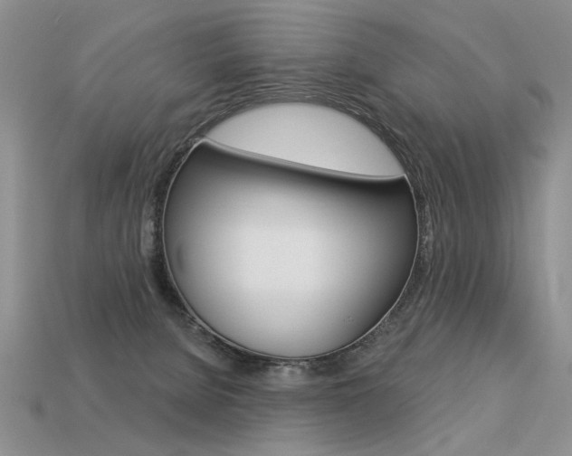 X0000113550080200909181008