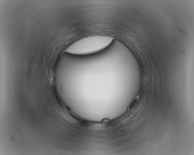 X0000113550081200909181008