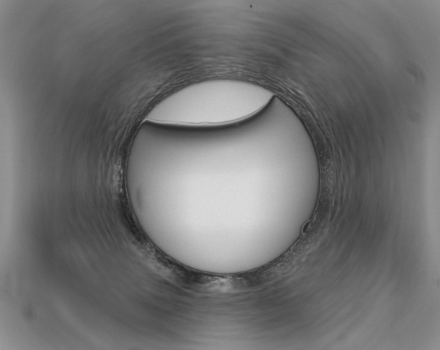 X0000113550083200909181008