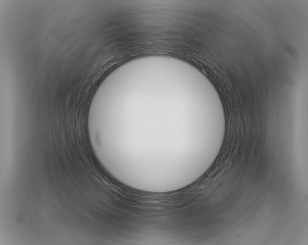 X0000113550084200909181008