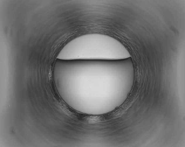 X0000113550085200909181008