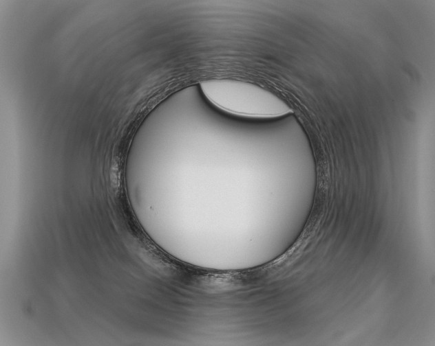 X0000113550086200909181008