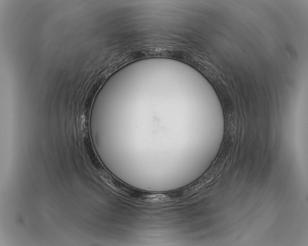 X0000113550087200909181008