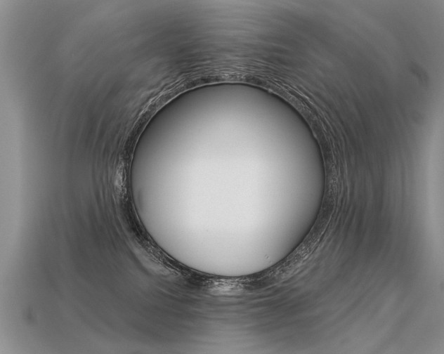 X0000113550088200909181008
