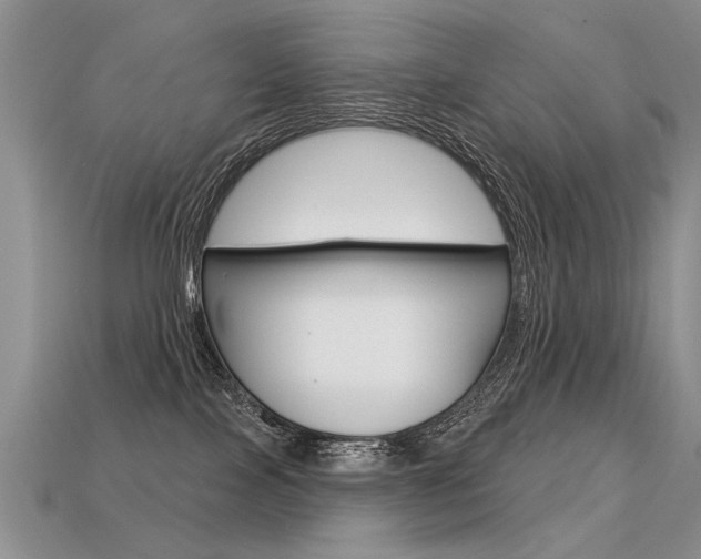 X0000113550089200909181008