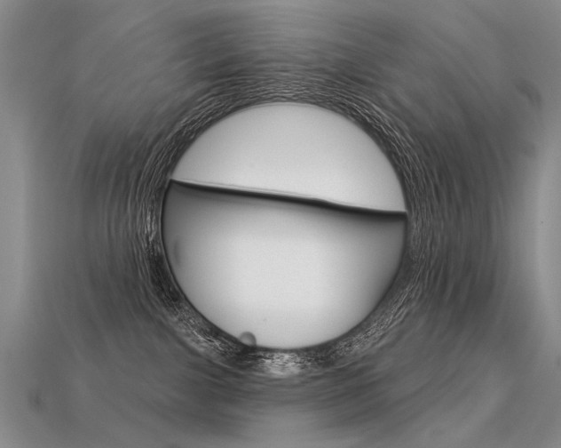 X0000113550091200909181008